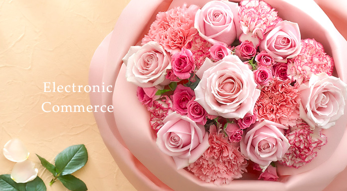 Electronic Commerce