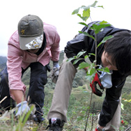 植樹活動の様子(写真1)