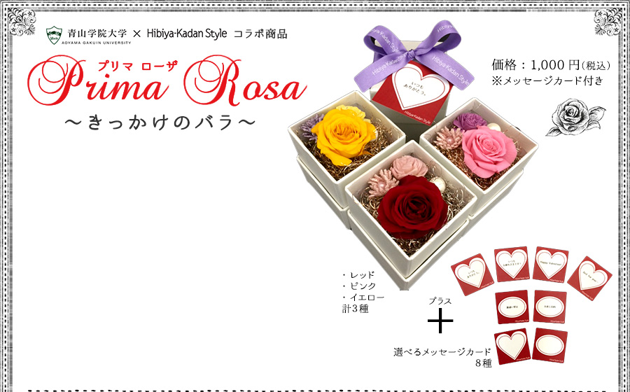 青山学院大学 × ヒビヤカダンスタイル コラボ商品「Prima Rosa プリマ ローザ」～きっかけのバラ～ 価格：1,000円（税込）※選べるメッセージカード付き