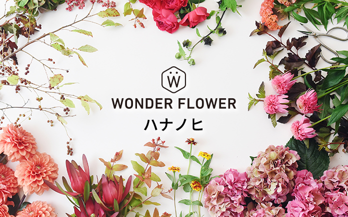 WONDER FLOWER ハナノヒ