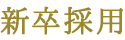 新卒採用